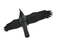 Létající havran XXL plastová 3D maketa na plašení ptáků a hlodavců